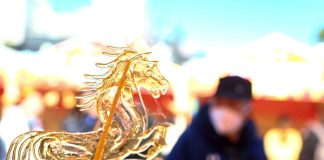 Cina: in corso preparativi per celebrare Festa di primavera (3)