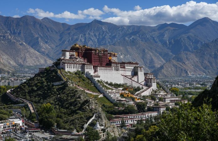 WhatsApp Image 2026-01-24 at 12.42.28