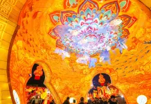 Cina: entra nel vivo la Zigong International Dinosaur Lantern Show (1)