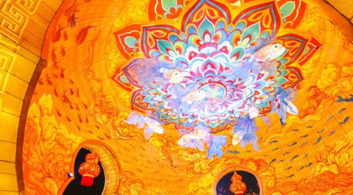 Cina: entra nel vivo la Zigong International Dinosaur Lantern Show (1)