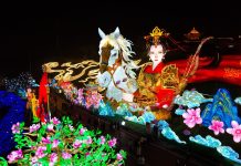 Cina: entra nel vivo la Zigong International Dinosaur Lantern Show (2)
