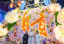 Cina: entra nel vivo la Zigong International Dinosaur Lantern Show (3)