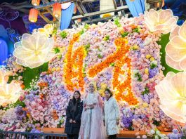 Cina: entra nel vivo la Zigong International Dinosaur Lantern Show (3)