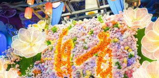 Cina: entra nel vivo la Zigong International Dinosaur Lantern Show (3)