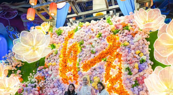 Cina: entra nel vivo la Zigong International Dinosaur Lantern Show (3)