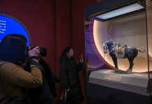 Cina: Pechino, Museo nazionale ospita mostra sull’Anno del Cavallo (3)
