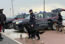 Ostia, operazione dei Carabinieri contro spaccio di droga e degrado