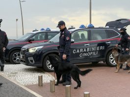 Ostia, operazione dei Carabinieri contro spaccio di droga e degrado