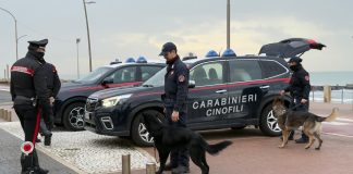 Ostia, operazione dei Carabinieri contro spaccio di droga e degrado