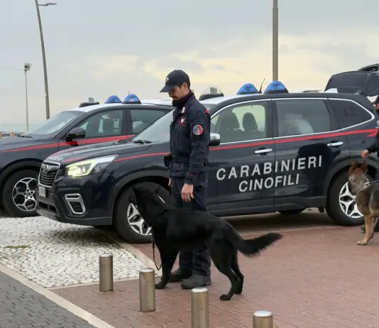 Ostia, operazione dei Carabinieri contro spaccio di droga e degrado