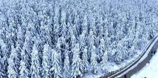 Cina: nevicate attirano turisti durante vacanze di Capodanno (1)
