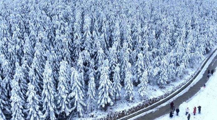 Cina: nevicate attirano turisti durante vacanze di Capodanno (1)