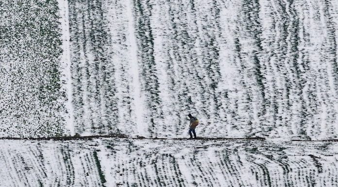 Cina: nevicate attirano turisti durante vacanze di Capodanno (2)