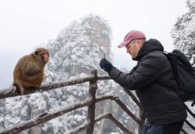 Cina: nevicate attirano turisti durante vacanze di Capodanno (3)