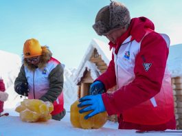 Cina: a Harbin sculture di ghiaccio tinte con coloranti vegetali (2)