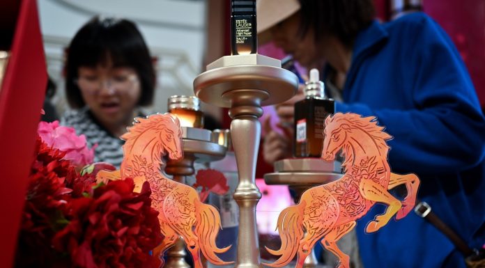Cina: Anno del Cavallo accende Capodanno Lunare ad Haikou (3)
