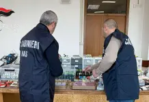 Torino, nel 2025 controllate dai Nas 450 strutture sanitarie e denunciate 90 persone