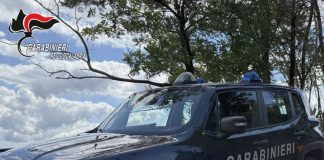 Pesce venduto dal bagagliaio dell’auto, denunciato un ambulante nel Reggino