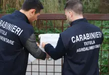 Truffa all’Agea per pascoli inesistenti, sequestro per 4 allevatori nel Messinese