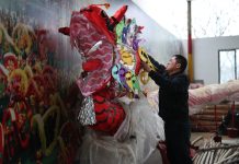 Cina: una famiglia è custode dell’antica arte Maolong (3)