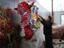 Cina: una famiglia è custode dell’antica arte Maolong (3)