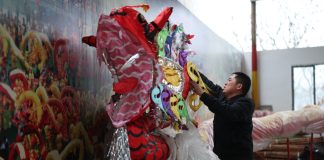 Cina: una famiglia è custode dell’antica arte Maolong (3)