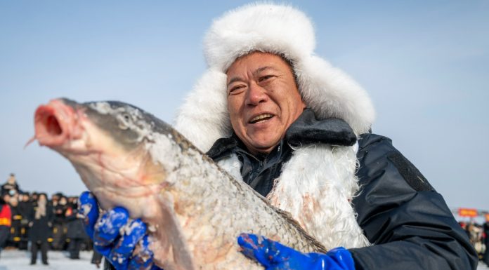 Cina: al Lago Xingkai inaugurato il festival della pesca invernale (2)