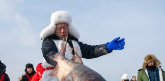 Cina: al Lago Xingkai inaugurato il festival della pesca invernale (3)