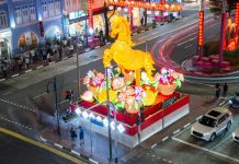 Singapore: accese le lanterne per il Capodanno cinese (2)