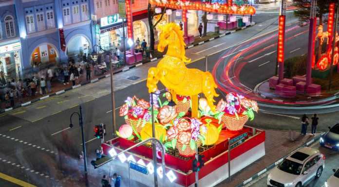 Singapore: accese le lanterne per il Capodanno cinese (2)