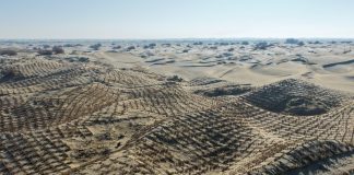 Cina: Xinjiang, proseguono attività di controllo della desertificazione (3)