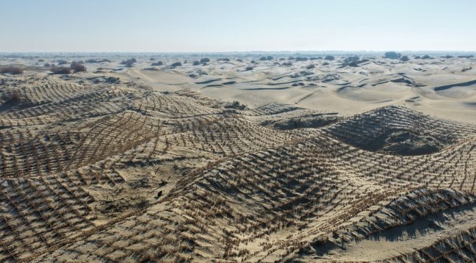 Cina: Xinjiang, proseguono attività di controllo della desertificazione (3)
