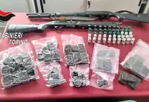 Torino, sequestrati droga e armi in una cantina delle case popolari