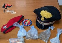 Smantellato un bivacco di spaccio nei boschi nel Varesotto