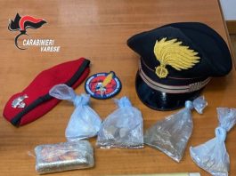 Smantellato un bivacco di spaccio nei boschi nel Varesotto