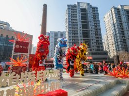 A Hangzhou una fiera sul patrimonio culturale per il Capodanno cinese (1)