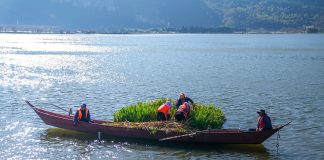 Cina: lago Dianchi, livello dell’acqua elevato per ottavo anno di fila (2)