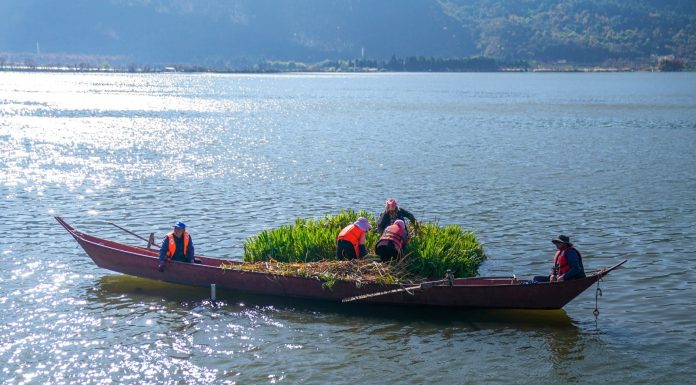 Cina: lago Dianchi, livello dell’acqua elevato per ottavo anno di fila (2)