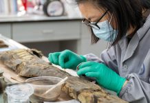 Cina: Jingzhou punta su ricerca e restauro dei reperti storici (3)