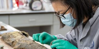Cina: Jingzhou punta su ricerca e restauro dei reperti storici (3)