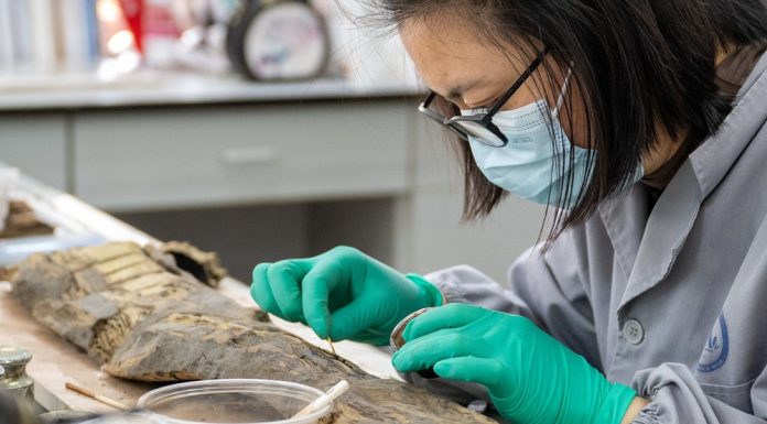 Cina: Jingzhou punta su ricerca e restauro dei reperti storici (3)