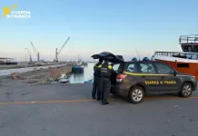 Sequestrati 25 kg di novellame di sarda, pescatore multato nel Crotonese