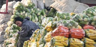 Cina: mercati riforniti nello Xinjiang nonostante il gelo (1)