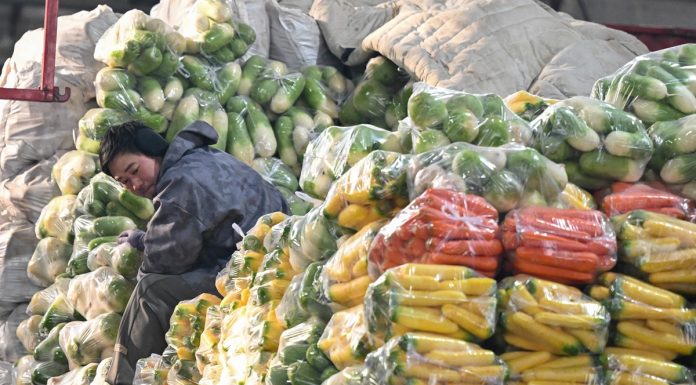 Cina: mercati riforniti nello Xinjiang nonostante il gelo (1)