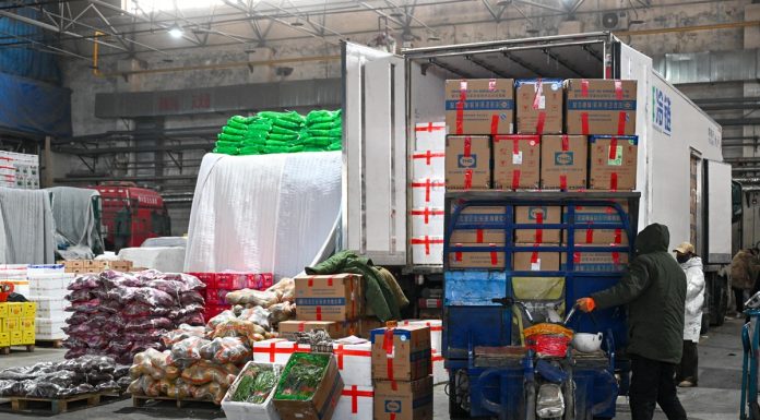 Cina: mercati riforniti nello Xinjiang nonostante il gelo (3)