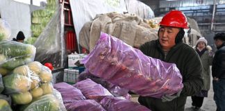 Cina: mercati riforniti nello Xinjiang nonostante il gelo (2)