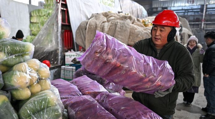 Cina: mercati riforniti nello Xinjiang nonostante il gelo (2)