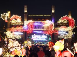 Cina: Nanchino, luci e colori per Festival delle lanterne di Qinhuai (1)