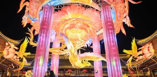 Cina: Nanchino, luci e colori per Festival delle lanterne di Qinhuai (3)