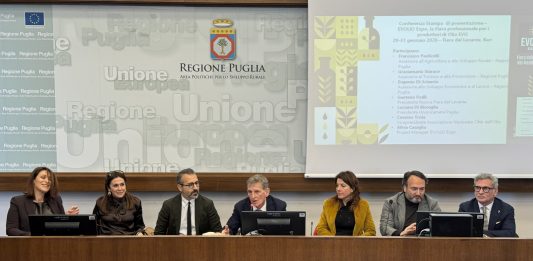 Evolio Expo 2026, al via a Bari la Fiera dedicata alla filiera olivicola-olearia